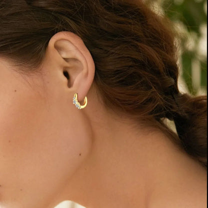 925 Sterling Silver  Earrings