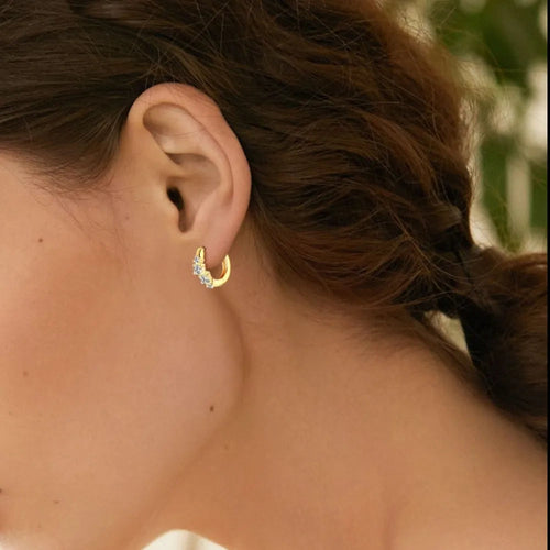 925 Sterling Silver  Earrings